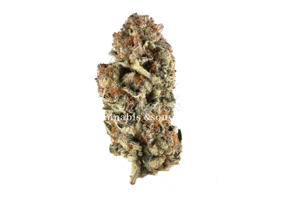 Bangkok Cannabis Souvenir photo 11