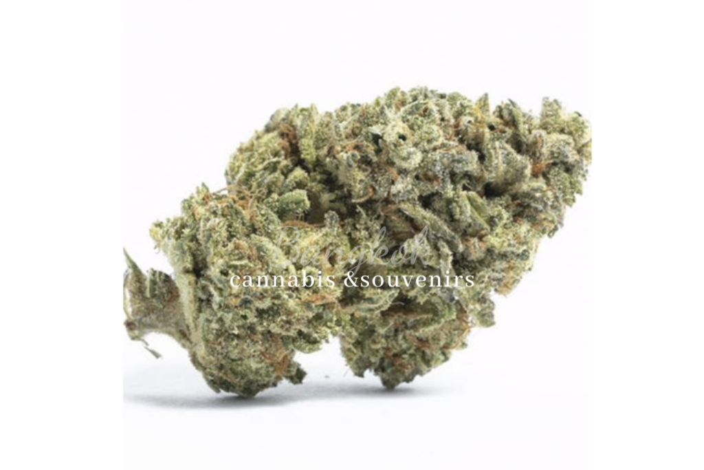 Bangkok Cannabis Souvenir photo 12
