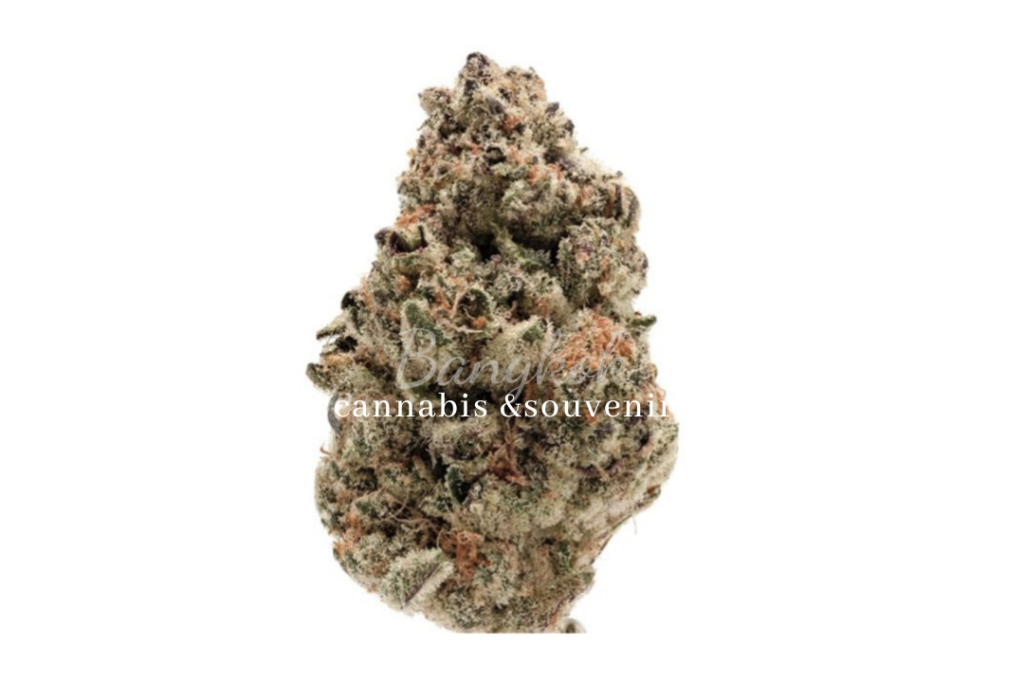Bangkok Cannabis Souvenir Lumphini